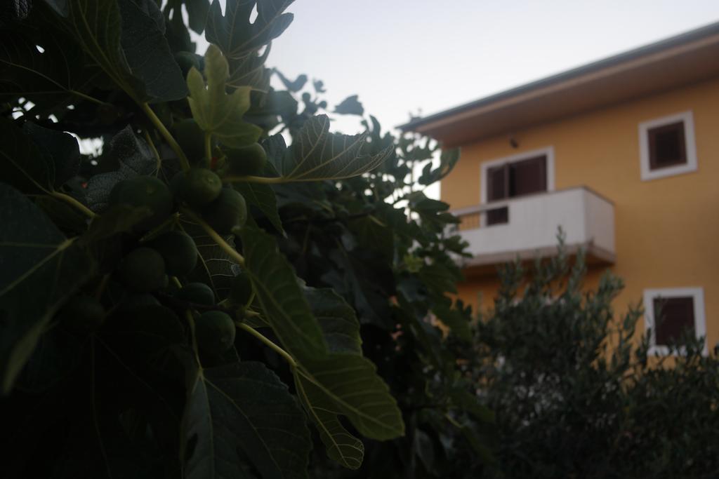 Apartment Lavanda ザダル エクステリア 写真