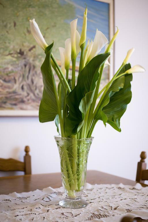 Apartment Lavanda ザダル 部屋 写真