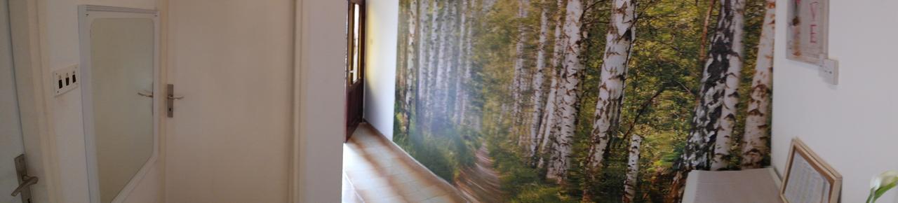 Apartment Lavanda ザダル エクステリア 写真
